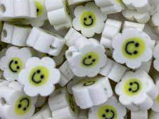 Afbeelding voor polymeer bloem wit(per stuk)